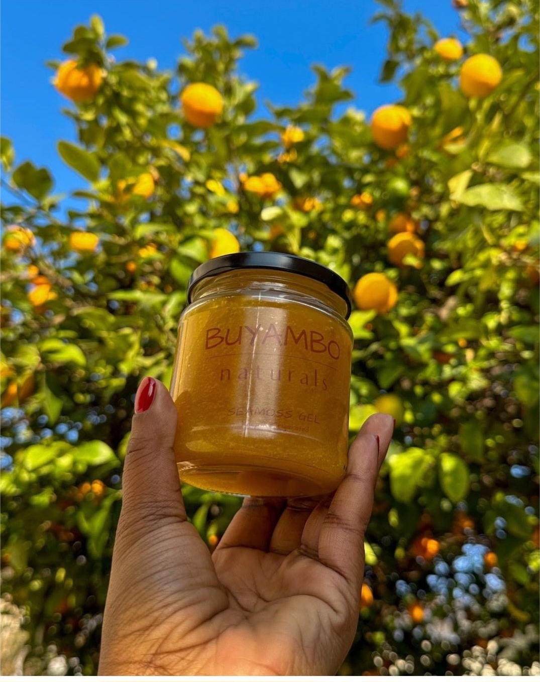 Seamoss gel (Tumeric)