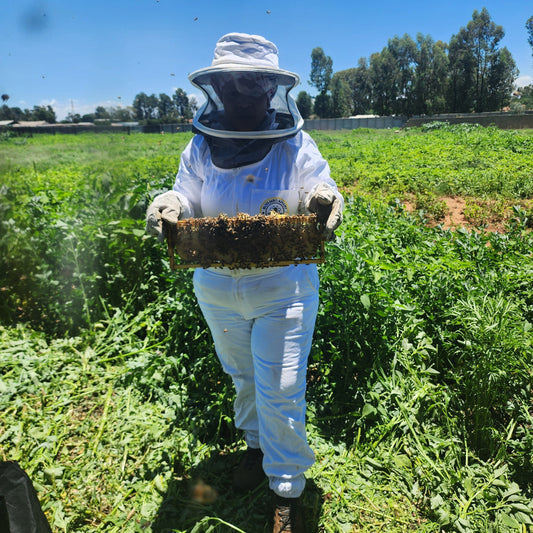 Welcome to Buyambo Apiary: A Journey into the World of Raw Honey and Beekeeping
