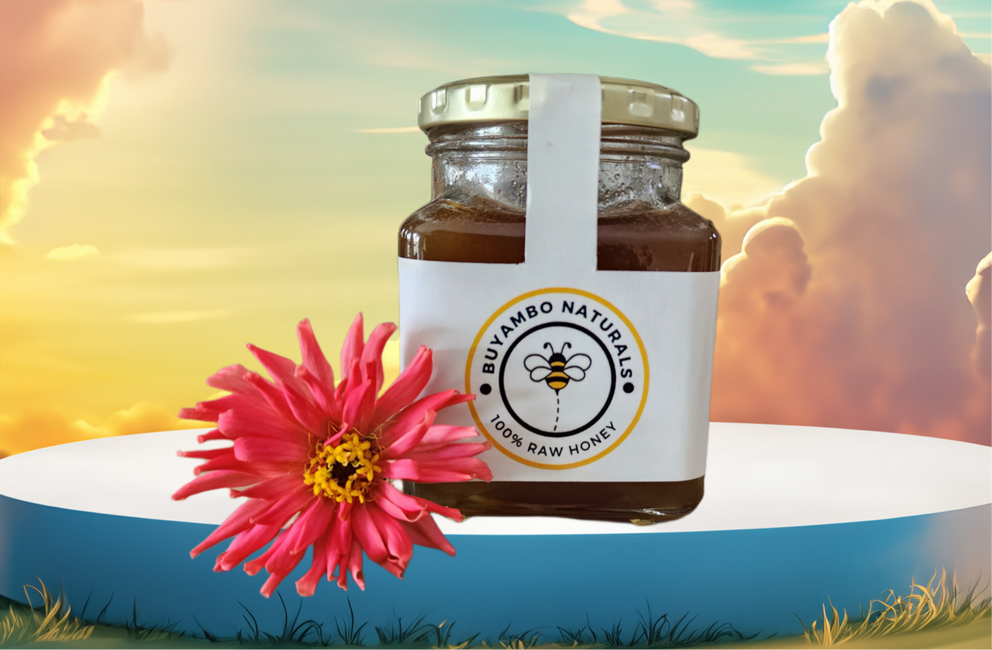 Raw Honey 310g