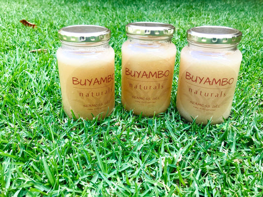 Seamoss gel (Ginger & Cinnamon)