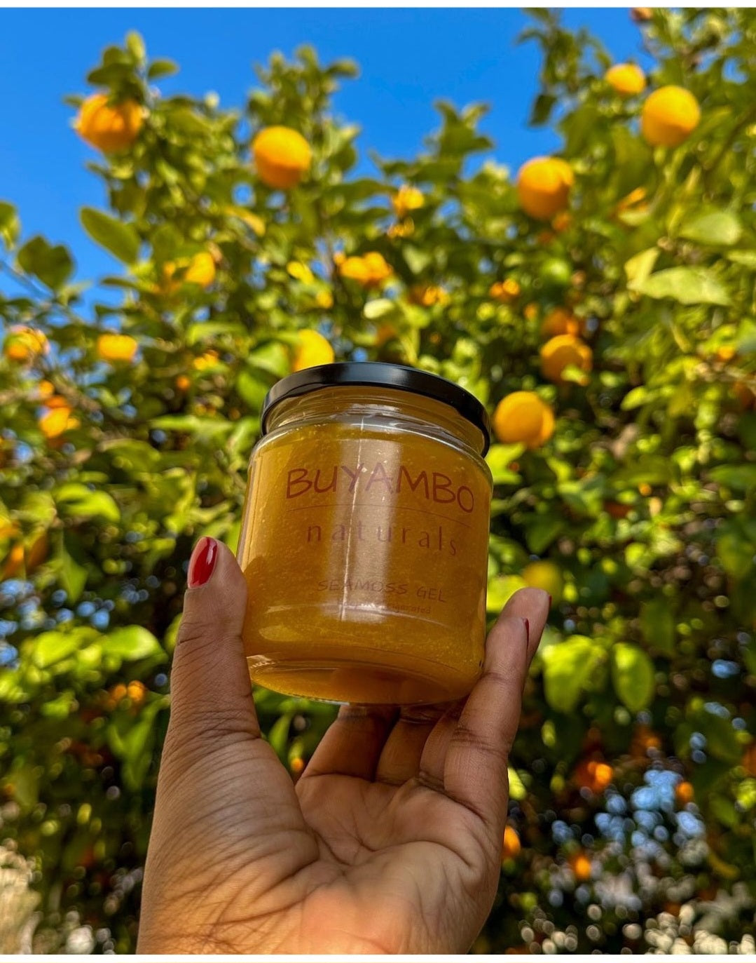 Seamoss gel (Tumeric)